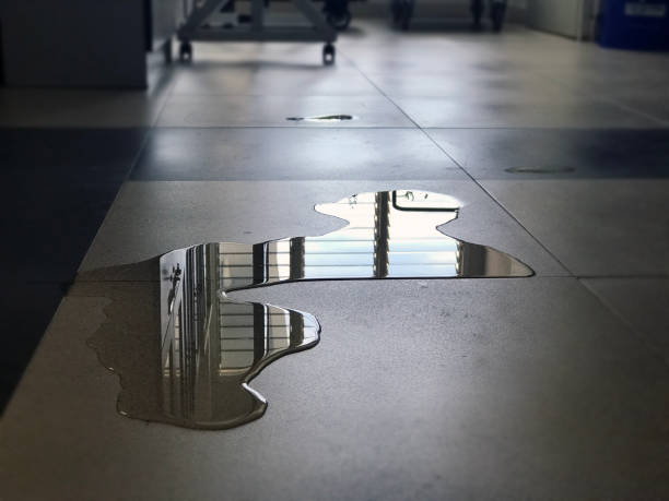 Best Emergency water damage restoration  in Spotsylnia Courthouse, VA